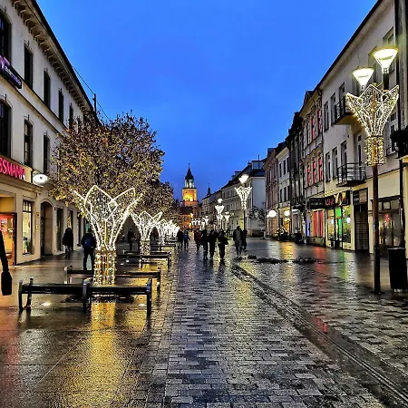 Heart - Z Parkingiem דירה