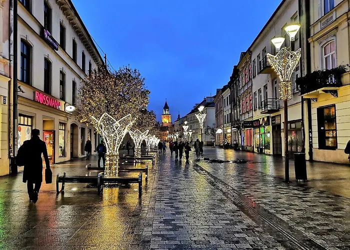 Heart - Z Parkingiem Apartment